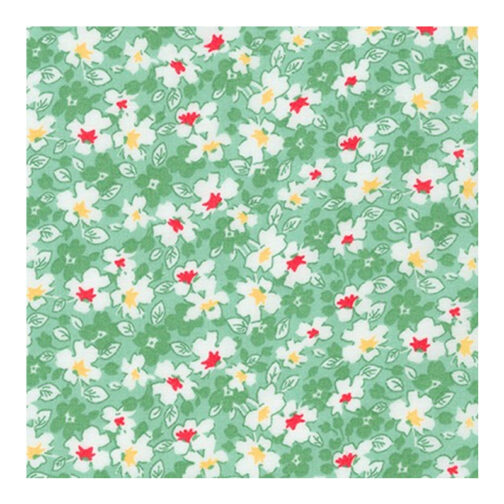 Robert Kaufman- Darlene's Favorite- Aloe