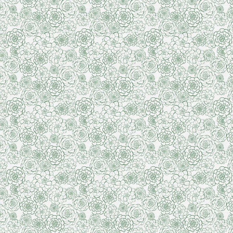 Paintbrush Studio - Succulents